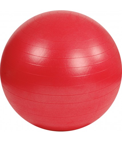Ballon de Gymnastique ABS - diamètre 55 cm - Rouge