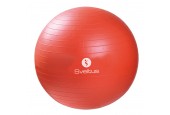 Ballon de gymnastique SVELTUS