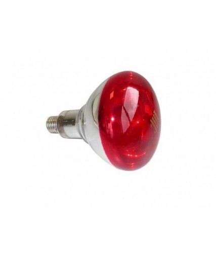 Ampoule à vis E27 pour lampe infrarouge - 250 W