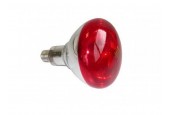 Ampoule à vis E27 pour lampe infrarouge - 250 W Ampoule à vis E27 pour lampe infrarouge - 250 W