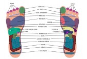 Rouleau de massage pieds TIAO - ROLLING MASS