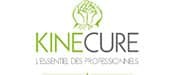 Kinecure